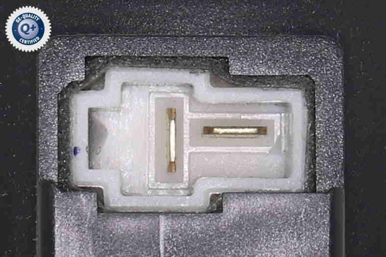 Vidaus pūtiklis ACKOJA A52-03-0002