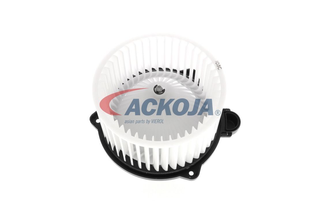 Vidaus pūtiklis ACKOJA A52-03-0002