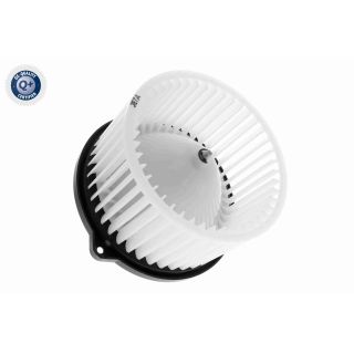 Vidaus pūtiklis ACKOJA A52-03-0003