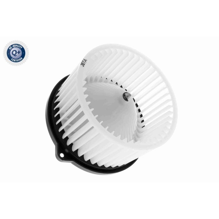 Vidaus pūtiklis ACKOJA A52-03-0003