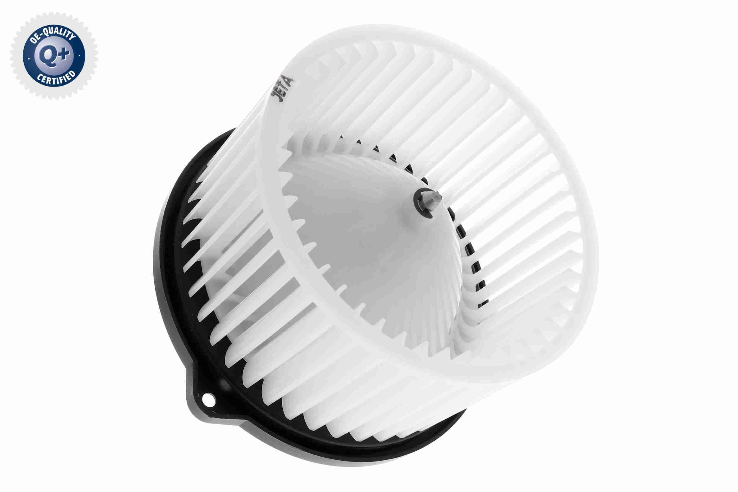 Vidaus pūtiklis ACKOJA A52-03-0003