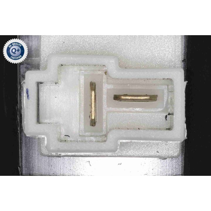 Vidaus pūtiklis ACKOJA A52-03-0003