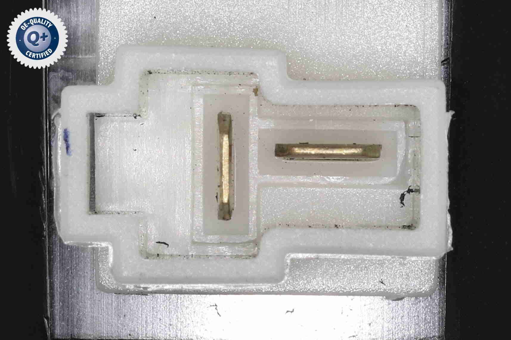 Vidaus pūtiklis ACKOJA A52-03-0003