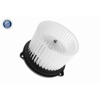 Vidaus pūtiklis ACKOJA A52-03-0004