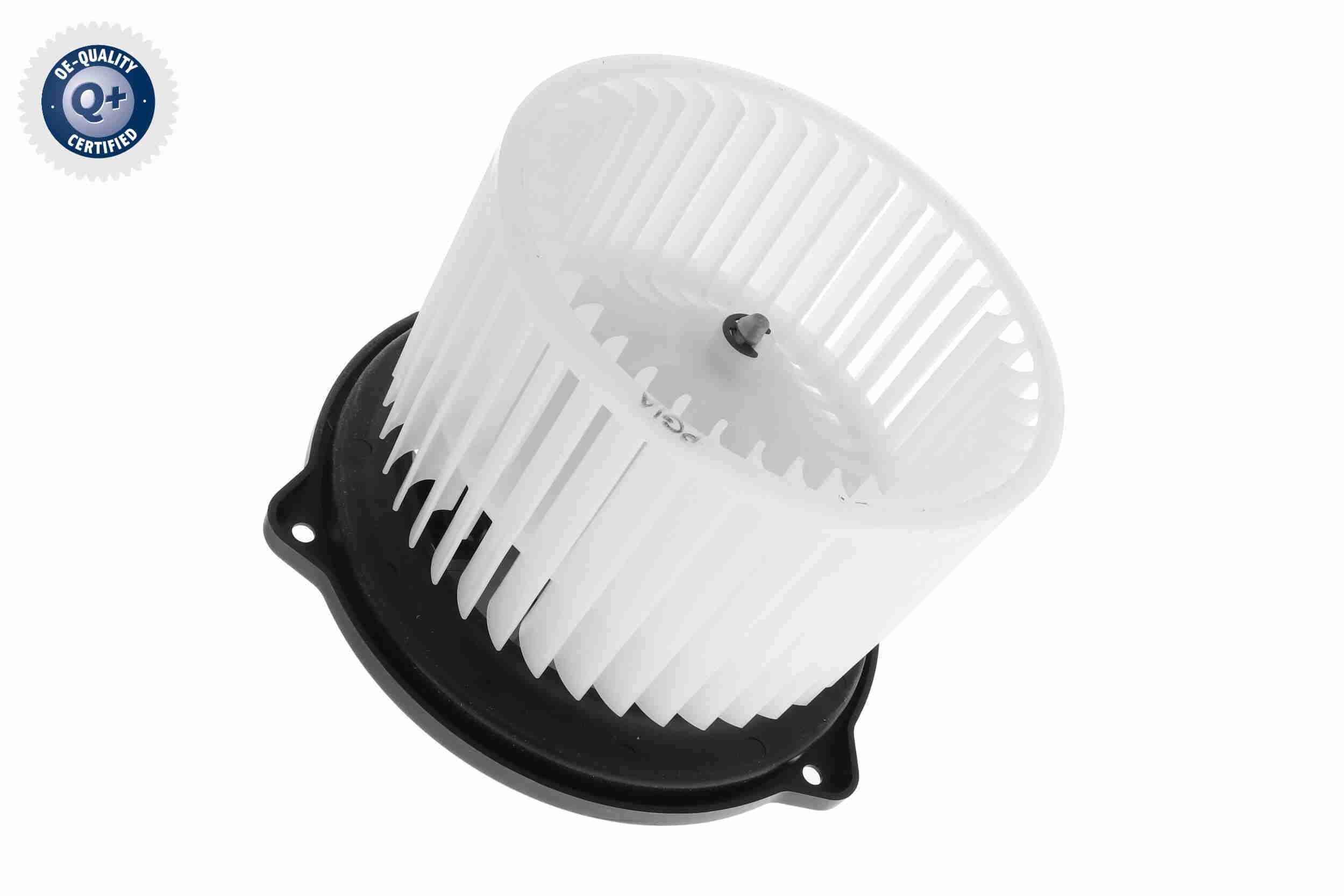 Vidaus pūtiklis ACKOJA A52-03-0004