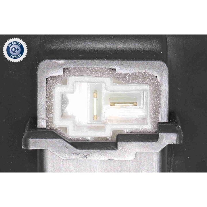 Vidaus pūtiklis ACKOJA A52-03-0004