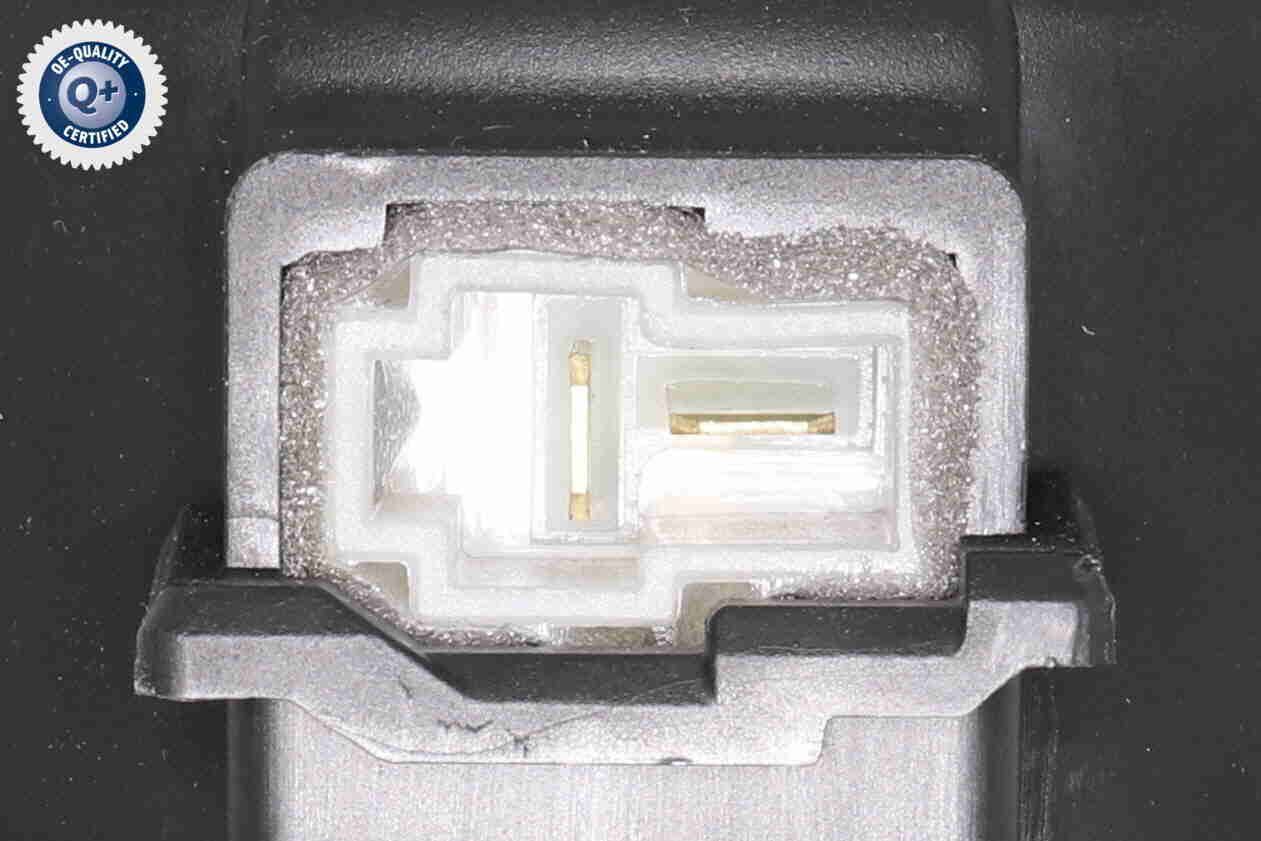 Vidaus pūtiklis ACKOJA A52-03-0004