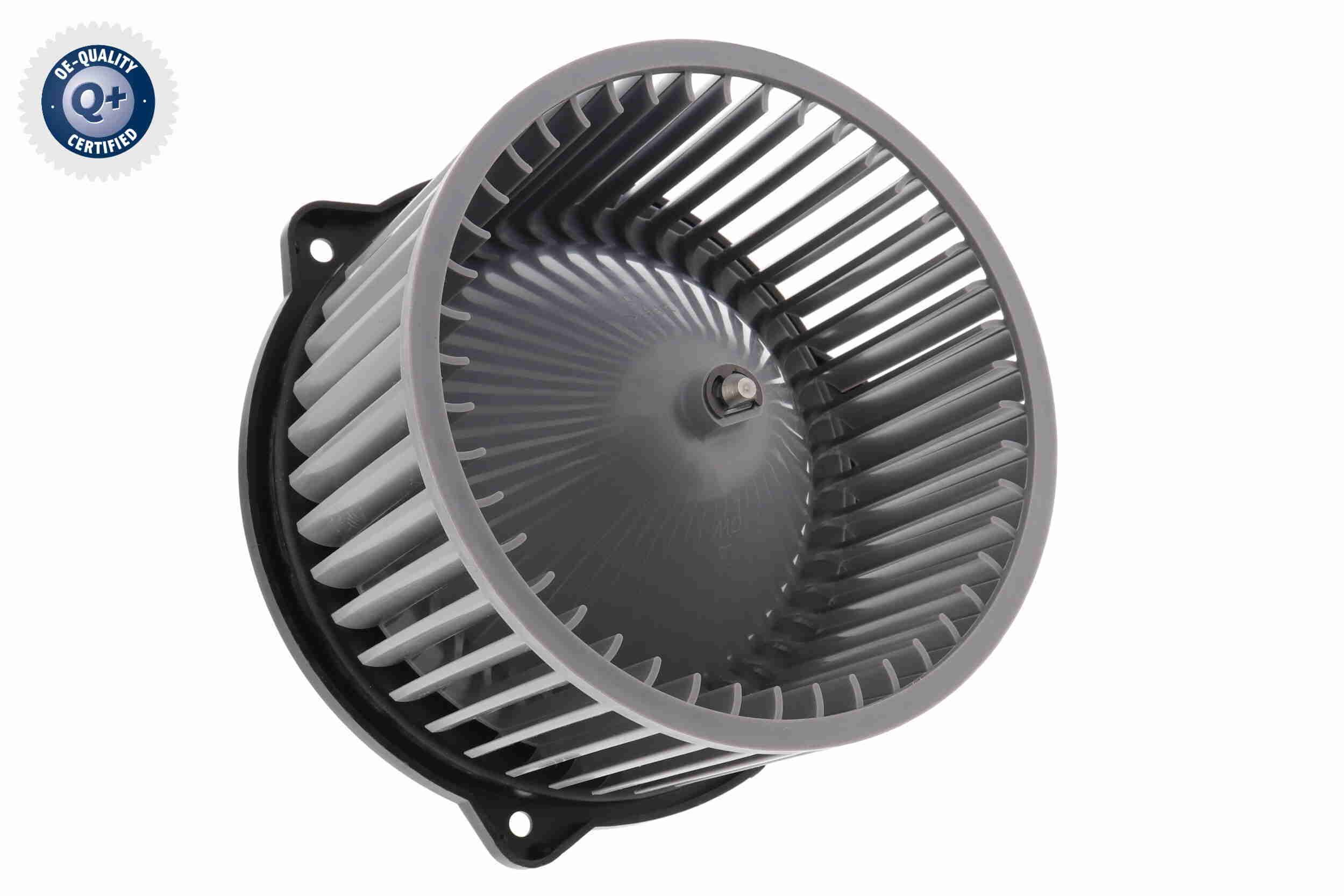 Vidaus pūtiklis ACKOJA A52-03-0006