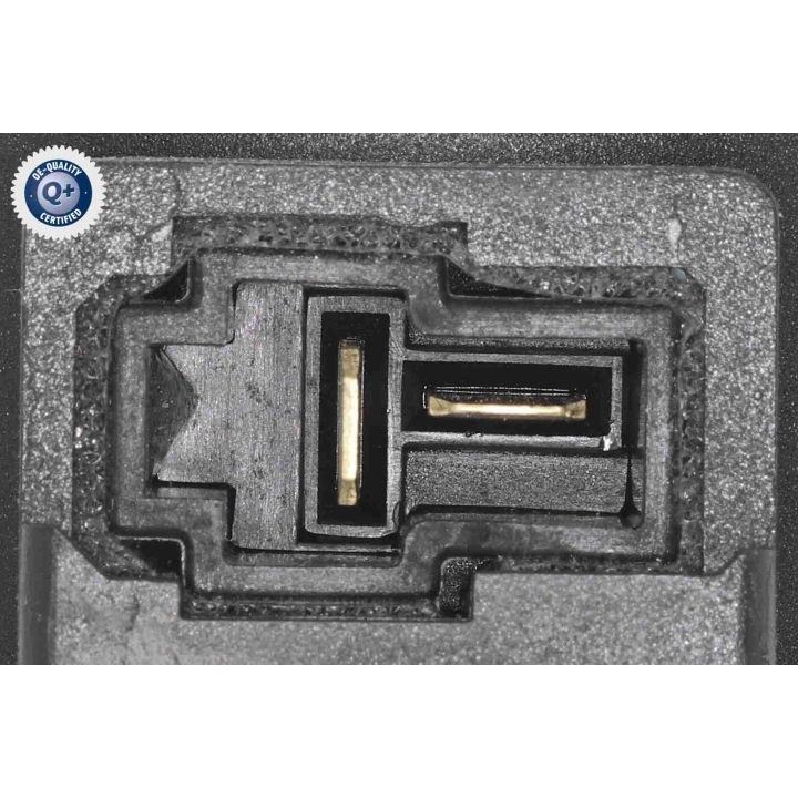 Vidaus pūtiklis ACKOJA A52-03-0006