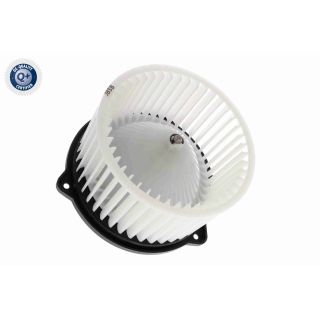 Vidaus pūtiklis ACKOJA A52-03-0007