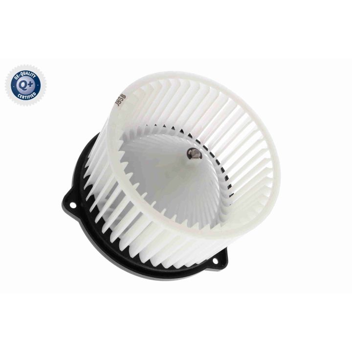 Vidaus pūtiklis ACKOJA A52-03-0007