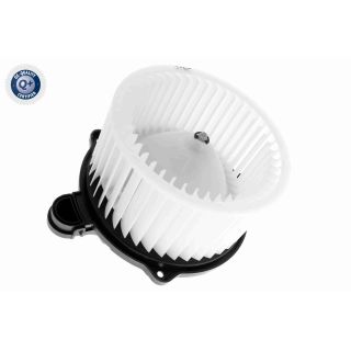 Vidaus pūtiklis ACKOJA A52-03-0008