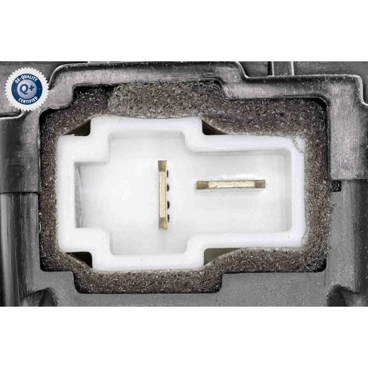 Vidaus pūtiklis ACKOJA A52-03-0008