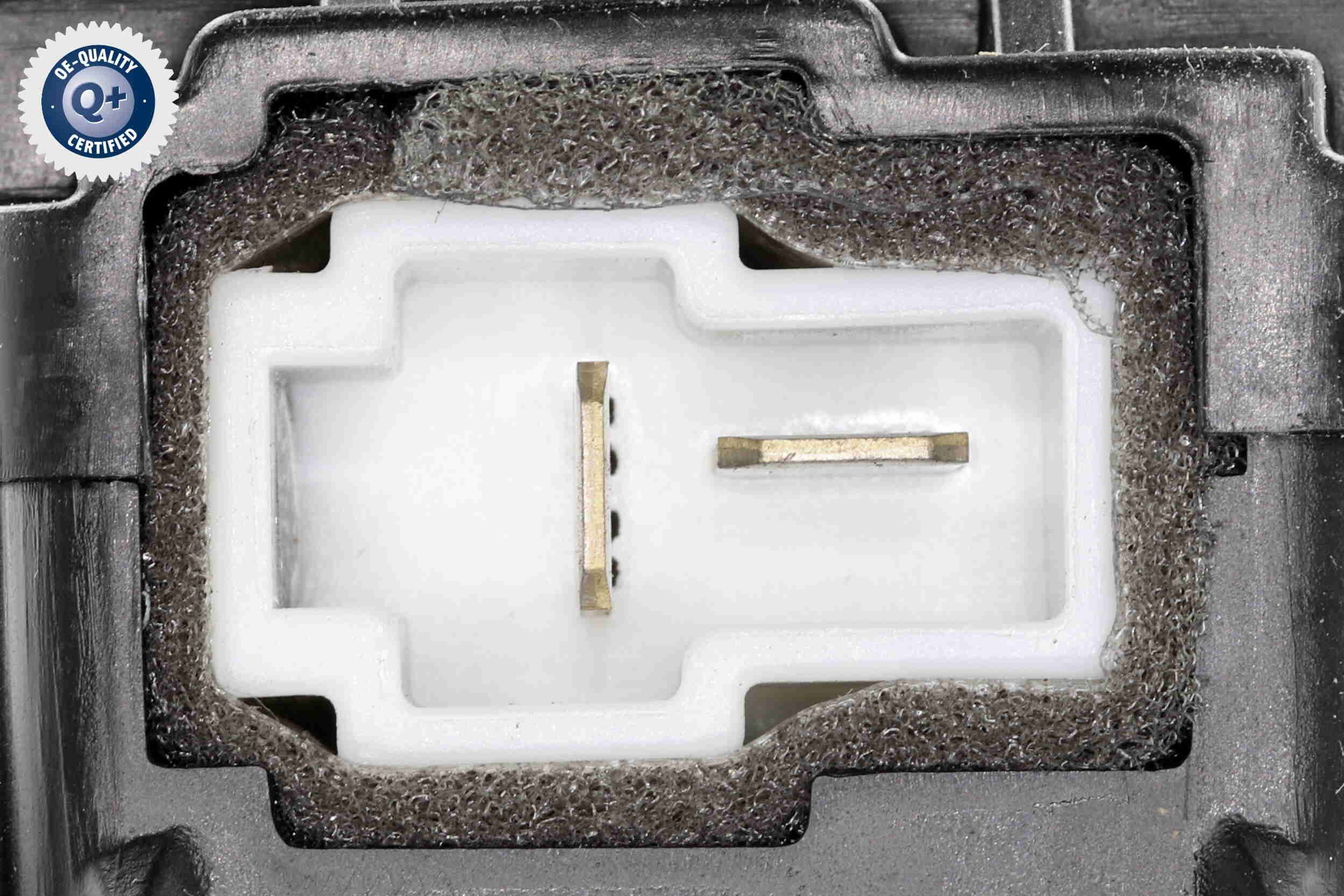 Vidaus pūtiklis ACKOJA A52-03-0008