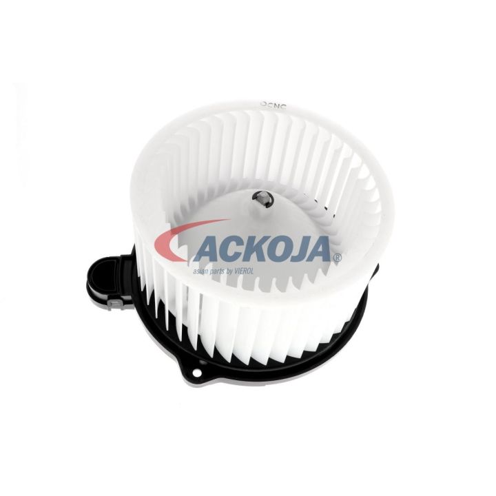 Vidaus pūtiklis ACKOJA A52-03-0008