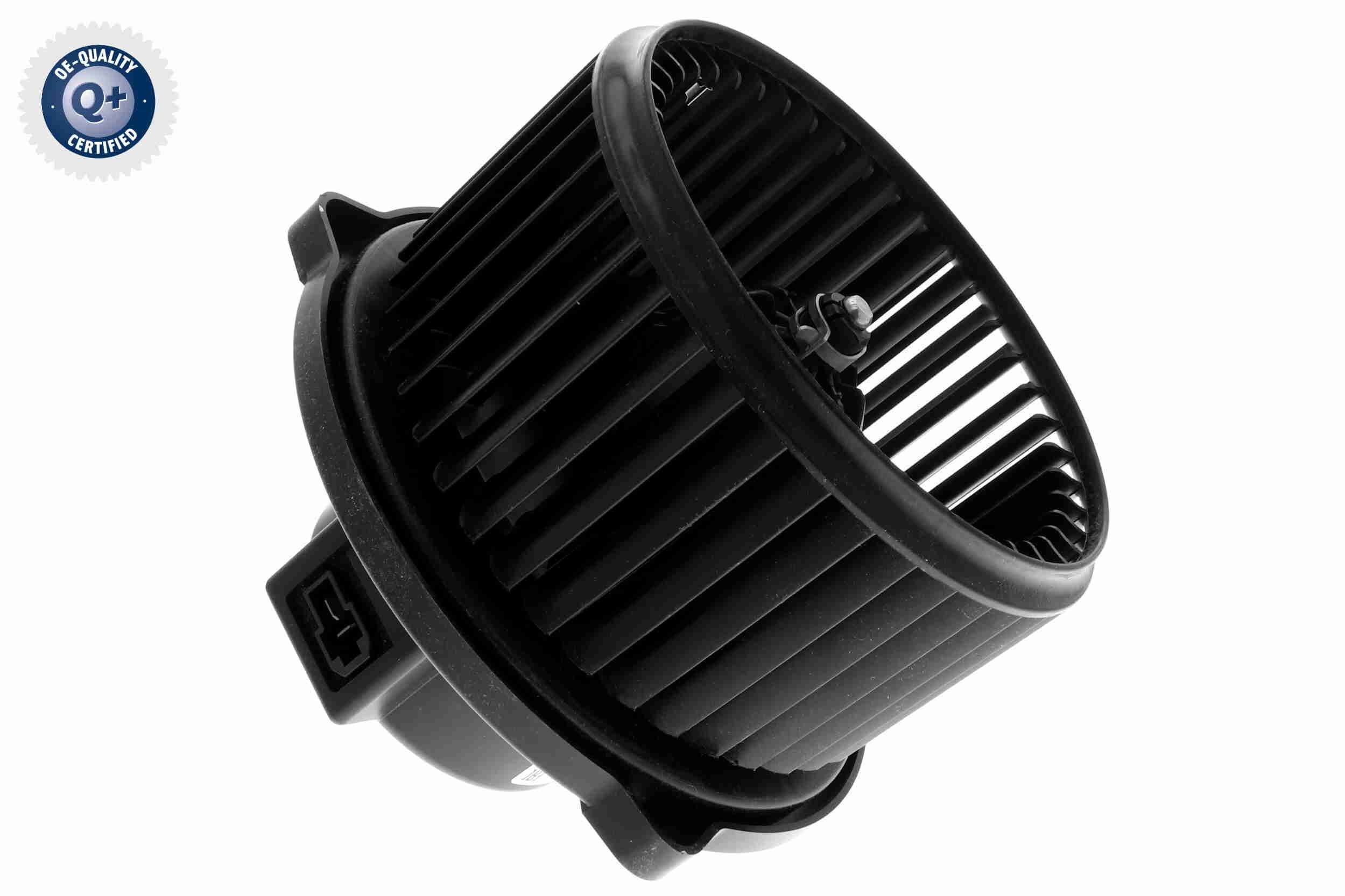 Vidaus pūtiklis ACKOJA A52-03-0009