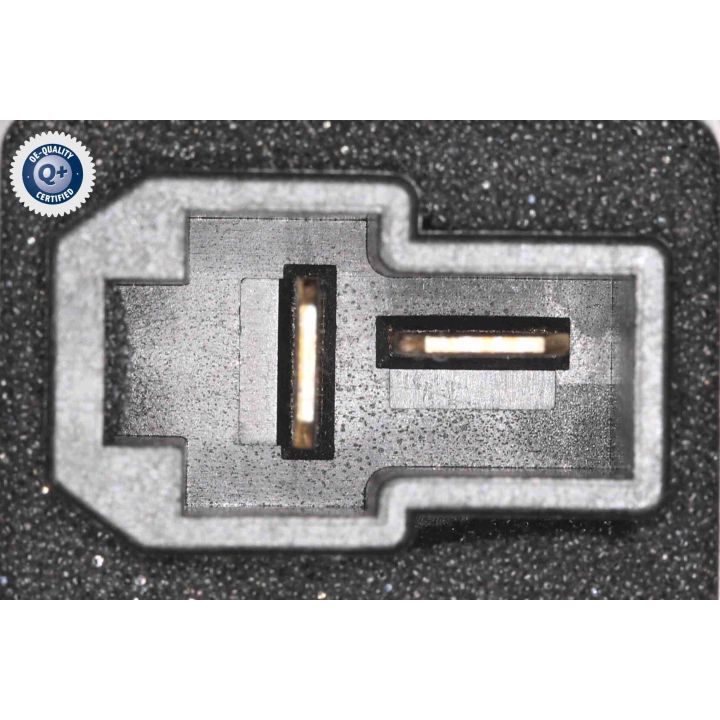 Vidaus pūtiklis ACKOJA A52-03-0009