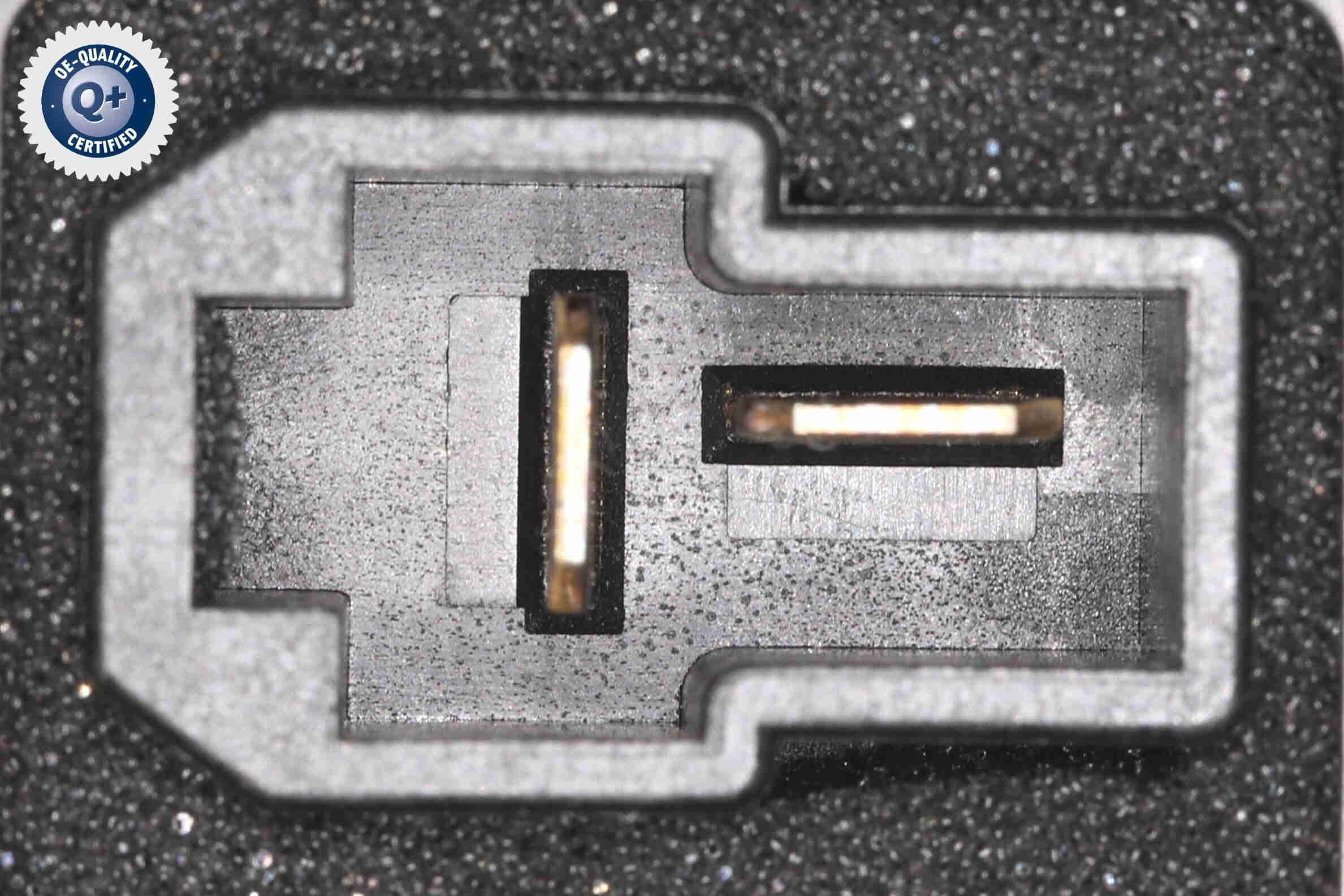 Vidaus pūtiklis ACKOJA A52-03-0009