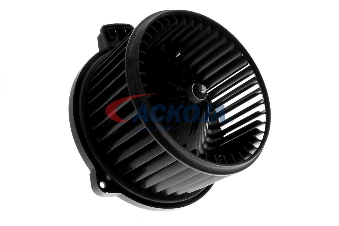 Vidaus pūtiklis ACKOJA A52-03-0009