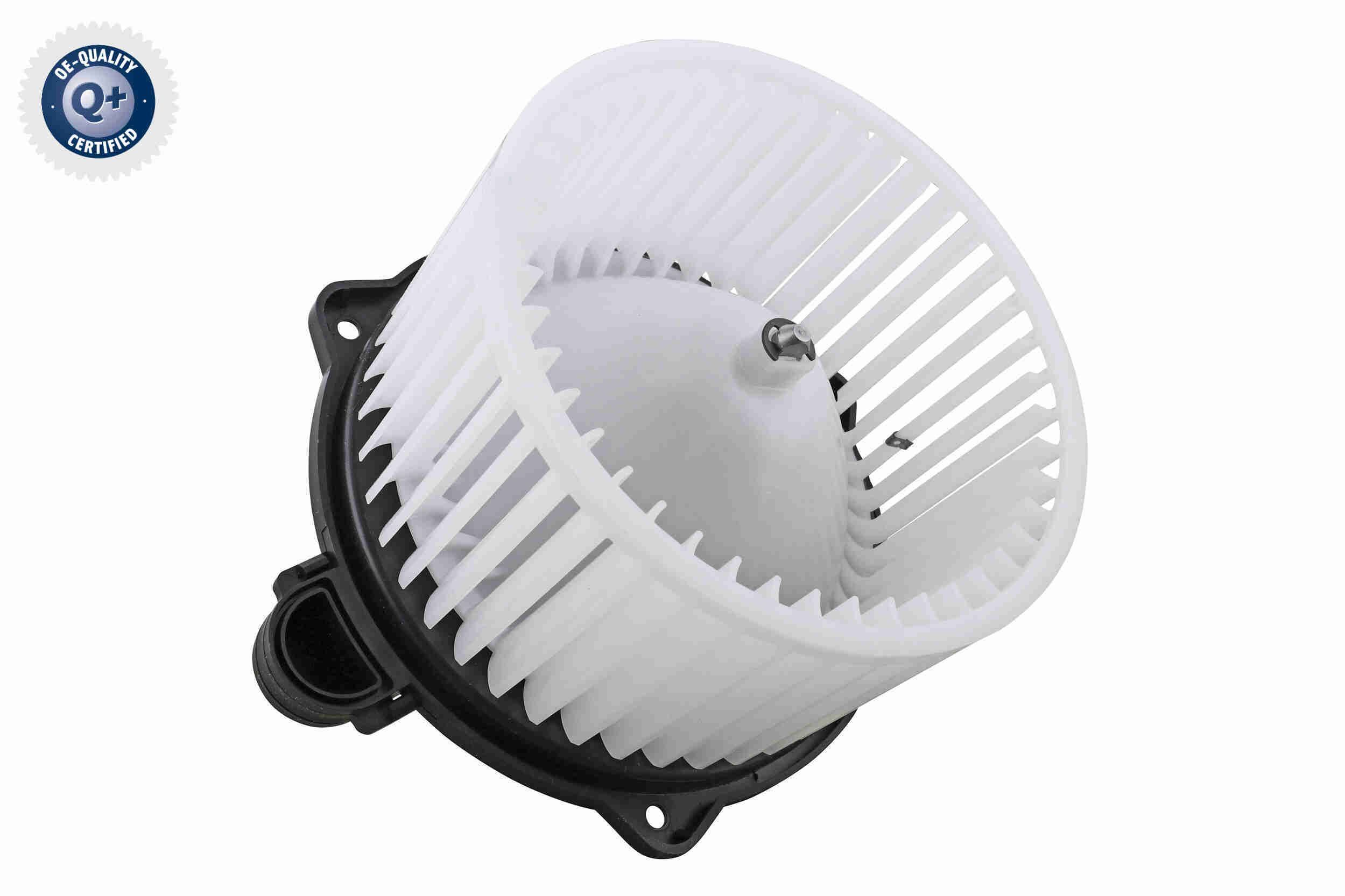 Vidaus pūtiklis ACKOJA A52-03-0010