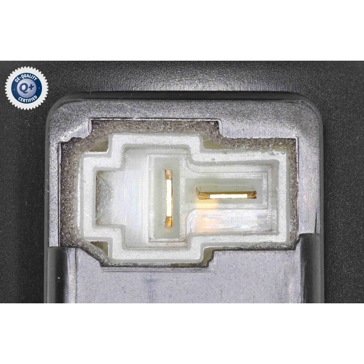 Vidaus pūtiklis ACKOJA A52-03-0010