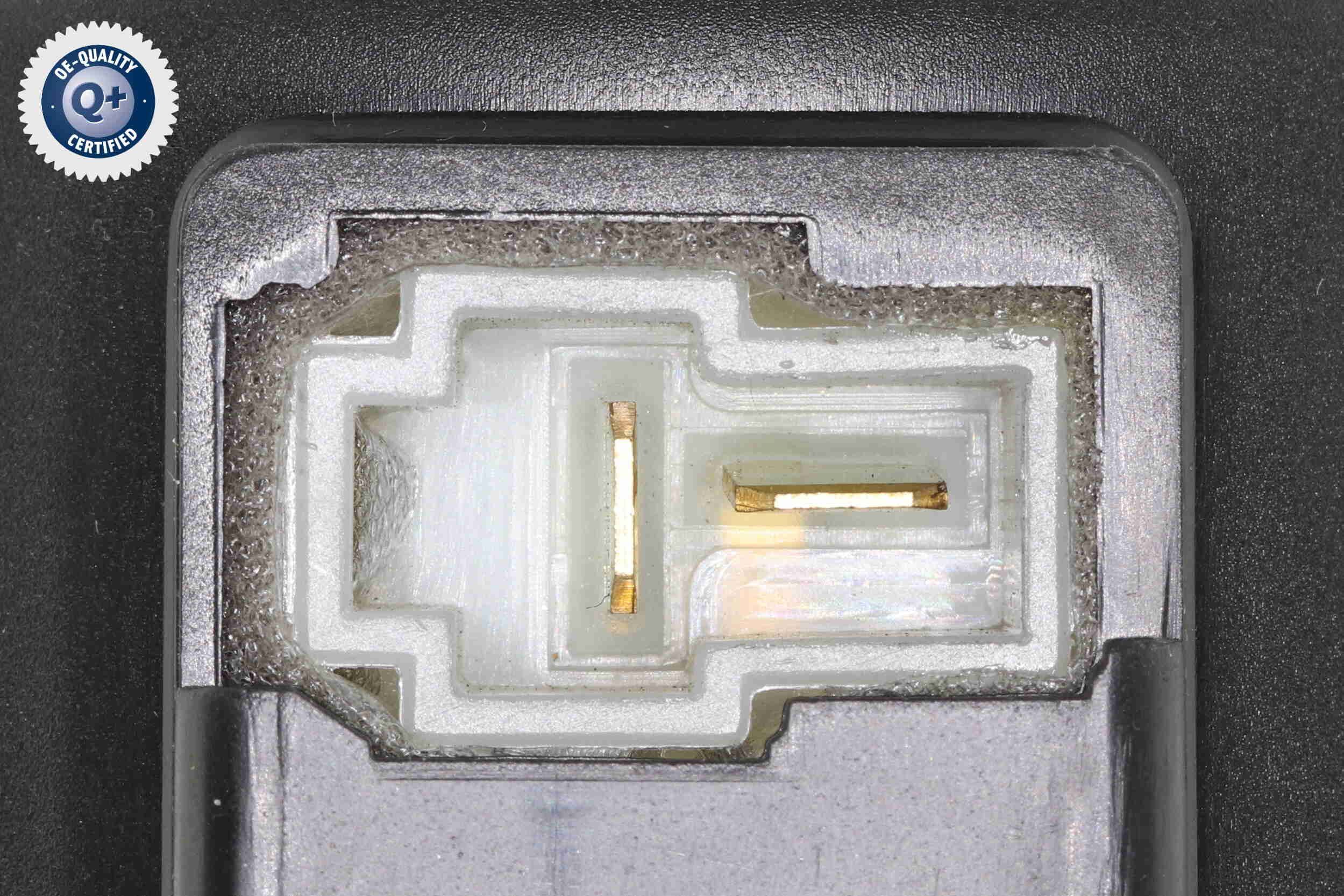 Vidaus pūtiklis ACKOJA A52-03-0010