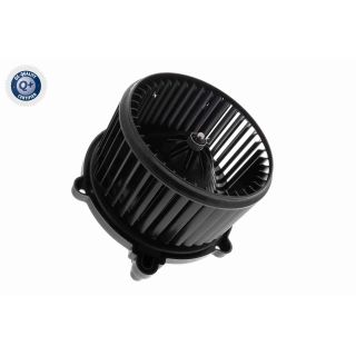 Vidaus pūtiklis ACKOJA A52-03-0015