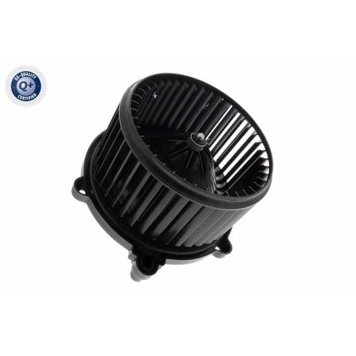 Vidaus pūtiklis ACKOJA A52-03-0015