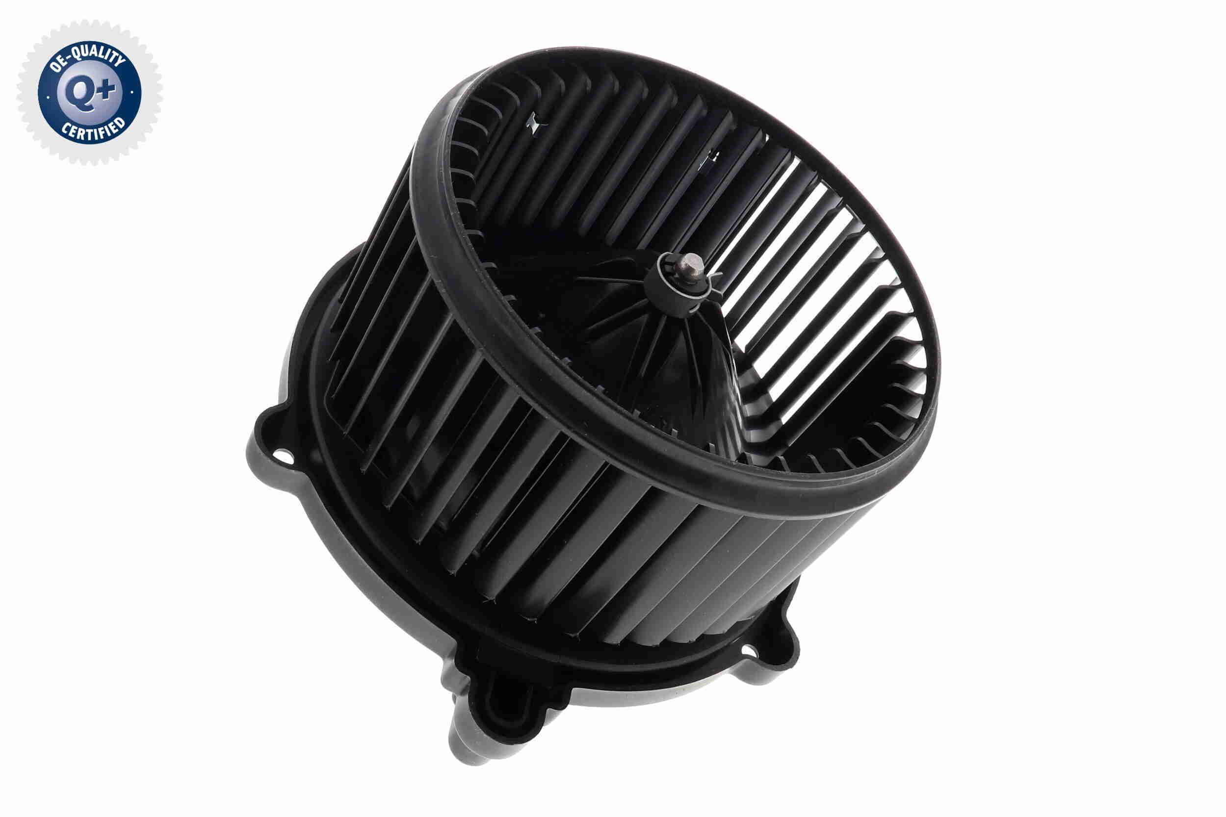 Vidaus pūtiklis ACKOJA A52-03-0015