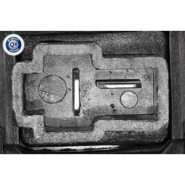 Vidaus pūtiklis ACKOJA A52-03-0015