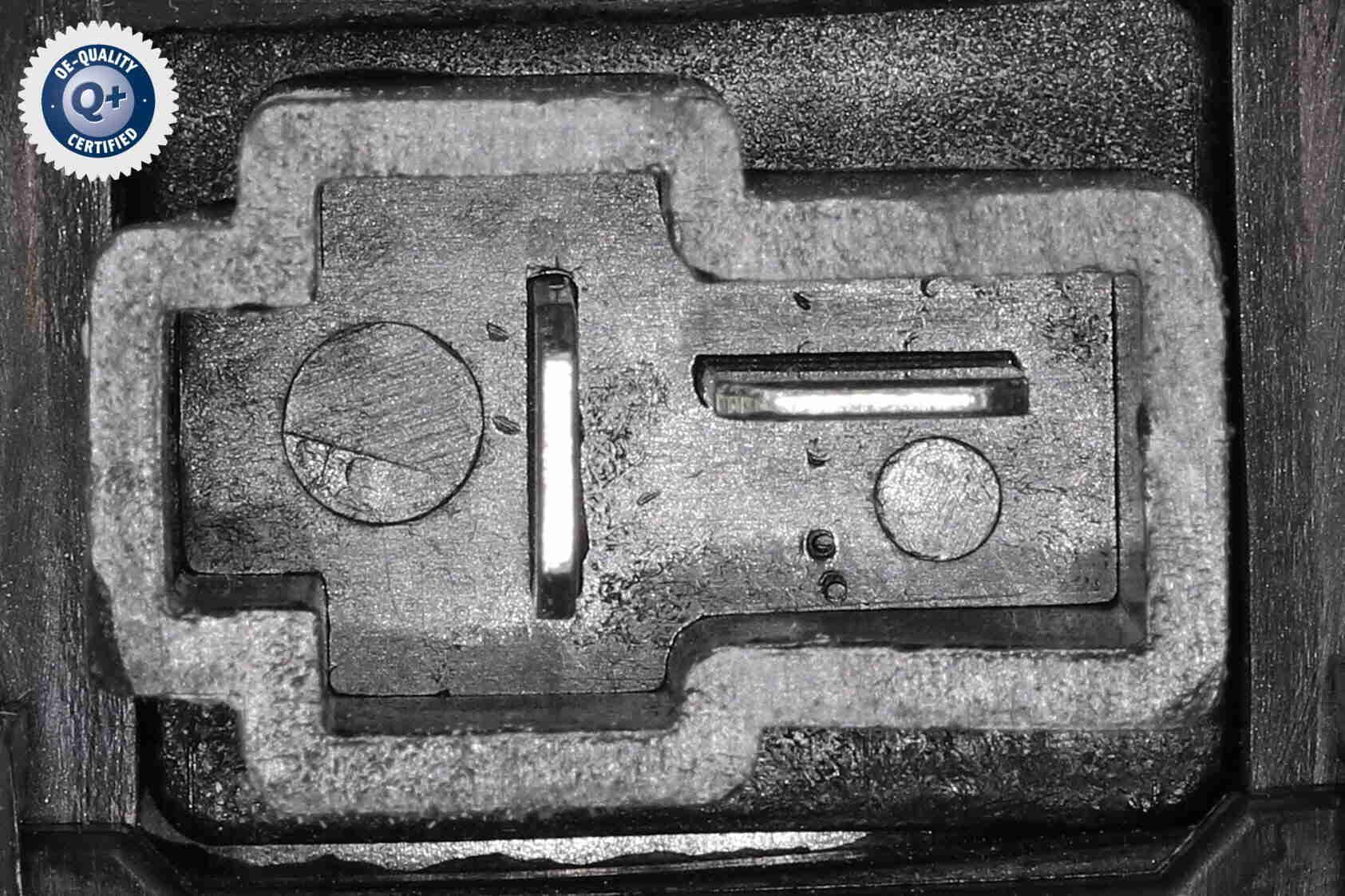 Vidaus pūtiklis ACKOJA A52-03-0015