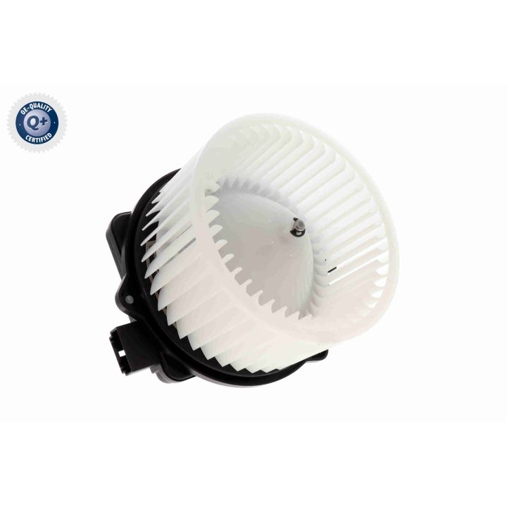 Vidaus pūtiklis ACKOJA A52-03-0016