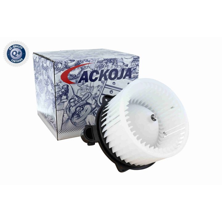 Vidaus pūtiklis ACKOJA A52-03-0016
