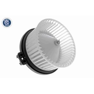 Vidaus pūtiklis ACKOJA A53-03-0001