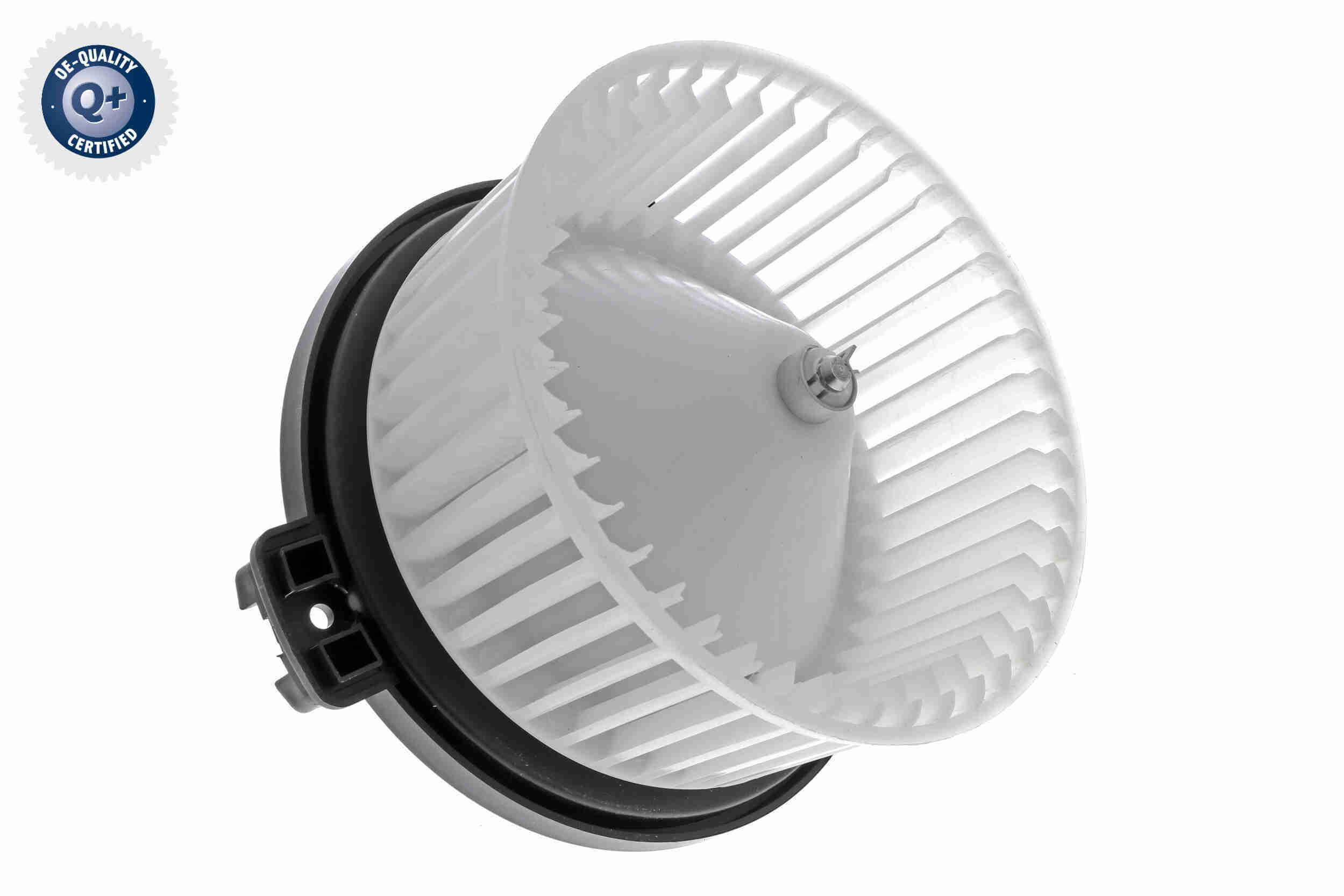 Vidaus pūtiklis ACKOJA A53-03-0001