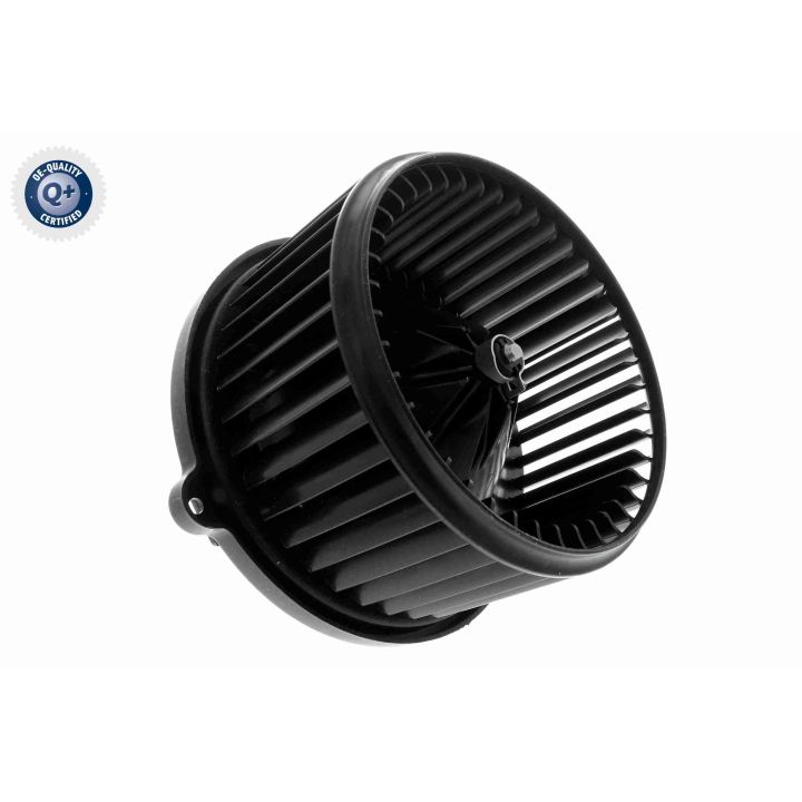 Vidaus pūtiklis ACKOJA A53-03-0002