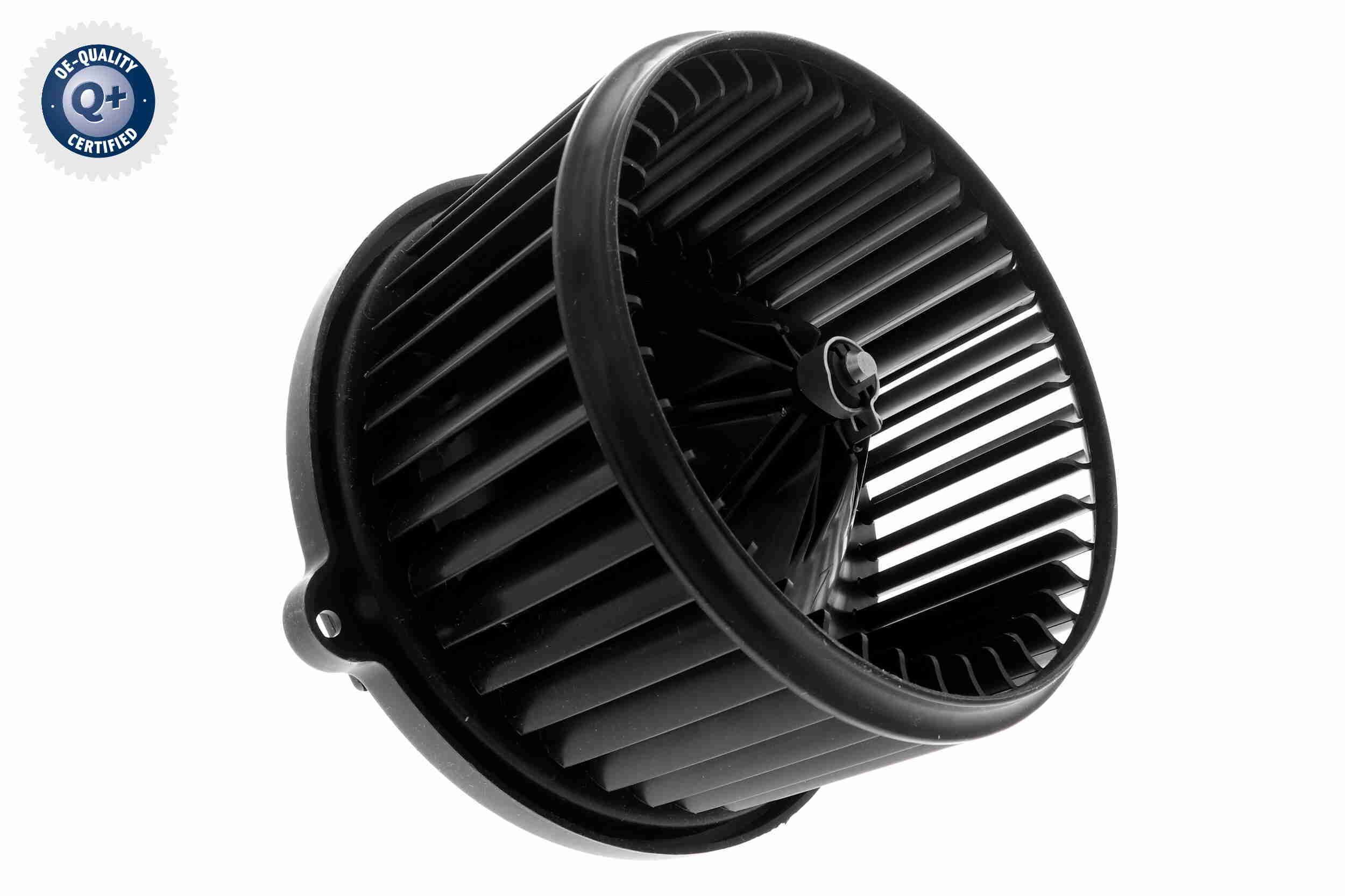 Vidaus pūtiklis ACKOJA A53-03-0002