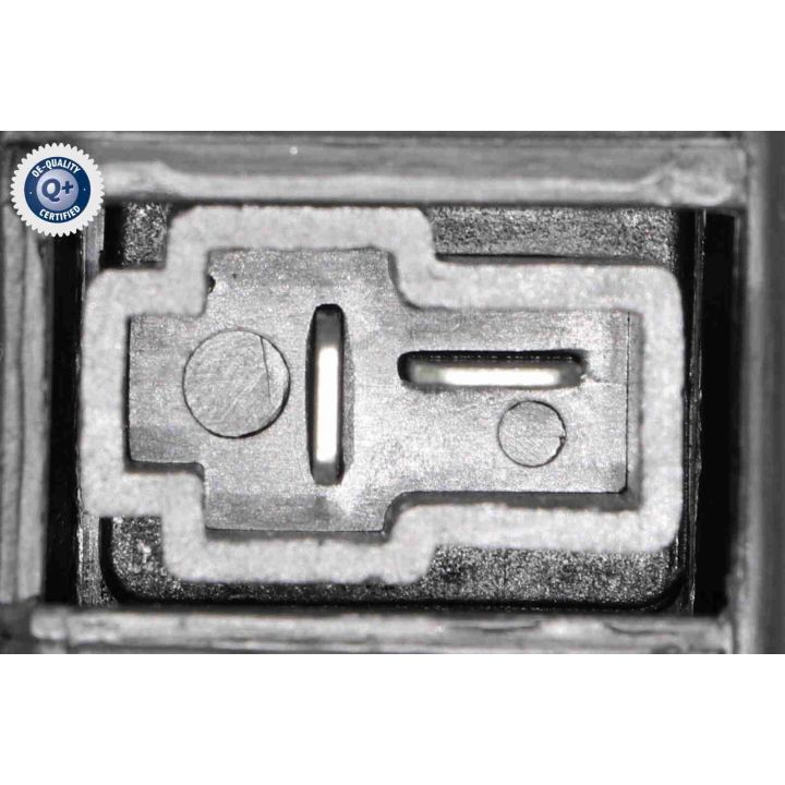 Vidaus pūtiklis ACKOJA A53-03-0002