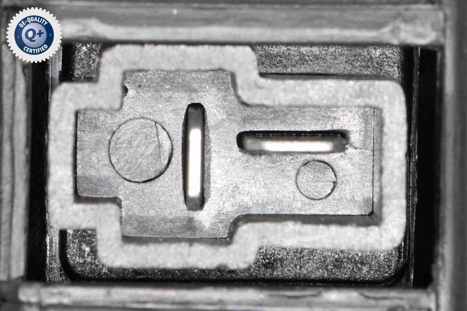 Vidaus pūtiklis ACKOJA A53-03-0002