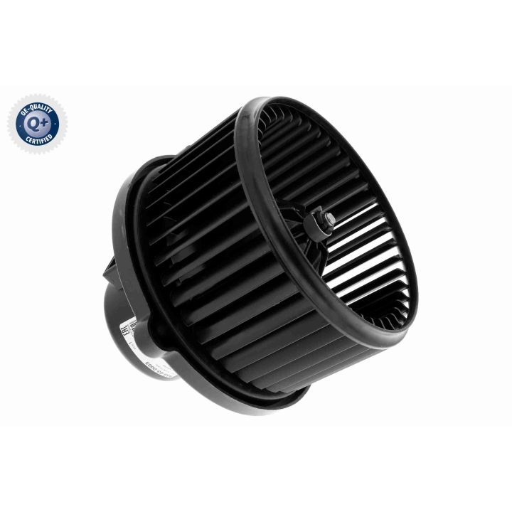 Vidaus pūtiklis ACKOJA A53-03-0003