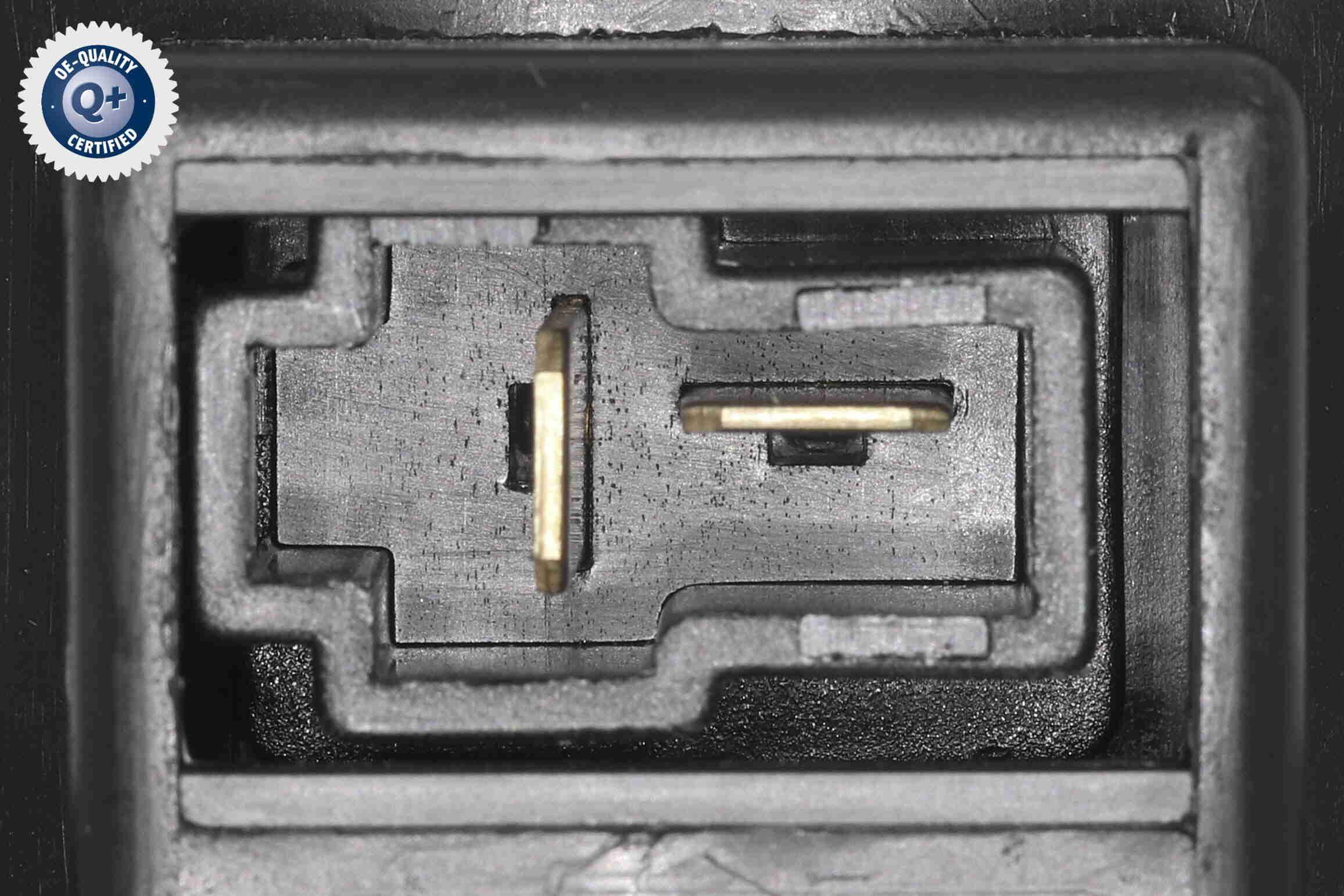 Vidaus pūtiklis ACKOJA A53-03-0003