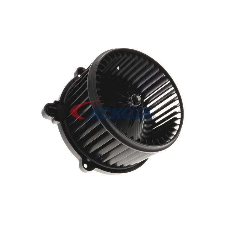 Vidaus pūtiklis ACKOJA A53-03-0003