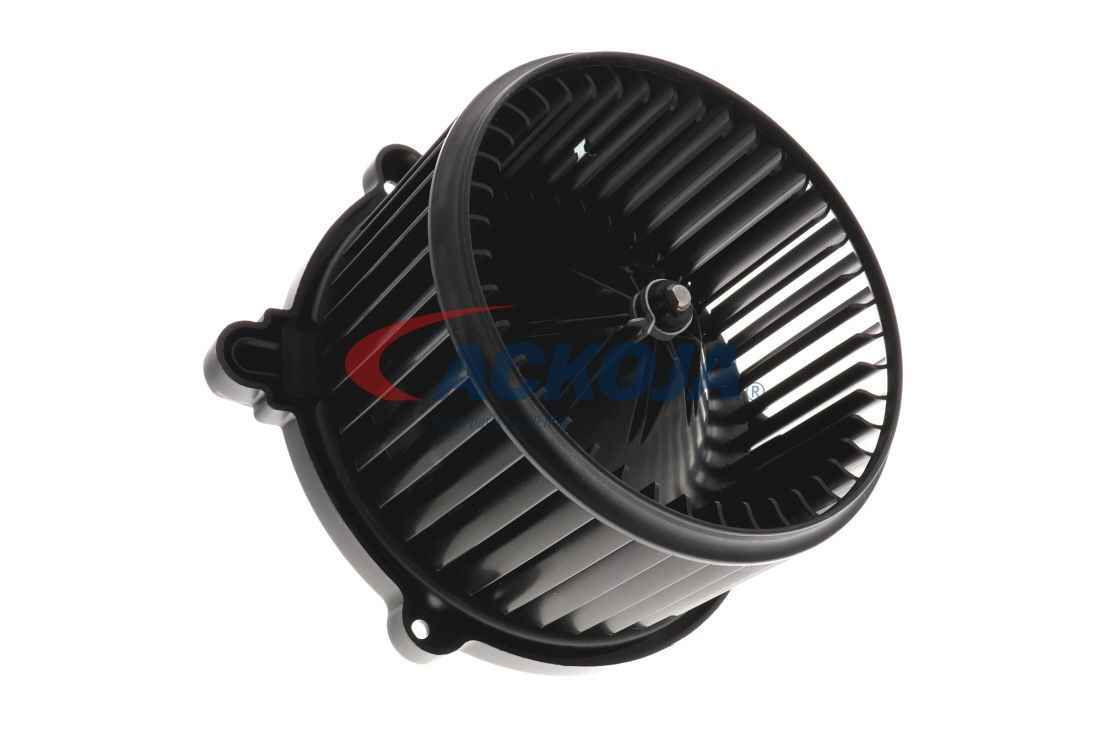 Vidaus pūtiklis ACKOJA A53-03-0003