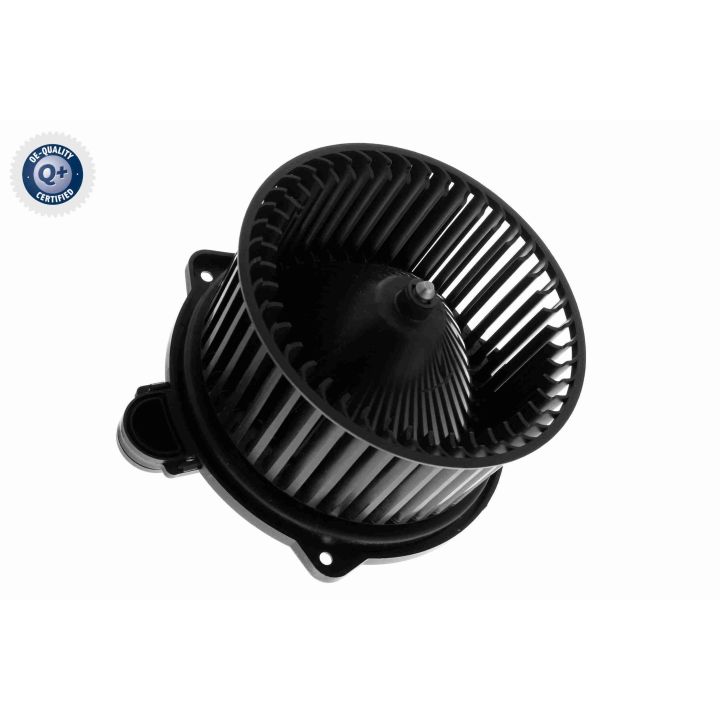 Vidaus pūtiklis ACKOJA A53-03-0004