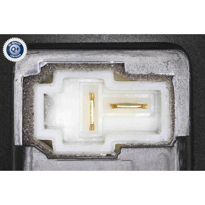 Vidaus pūtiklis ACKOJA A53-03-0004