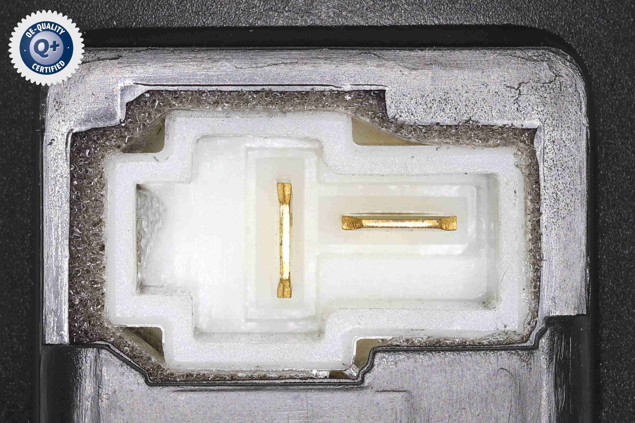 Vidaus pūtiklis ACKOJA A53-03-0004