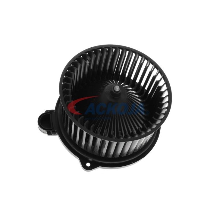 Vidaus pūtiklis ACKOJA A53-03-0004