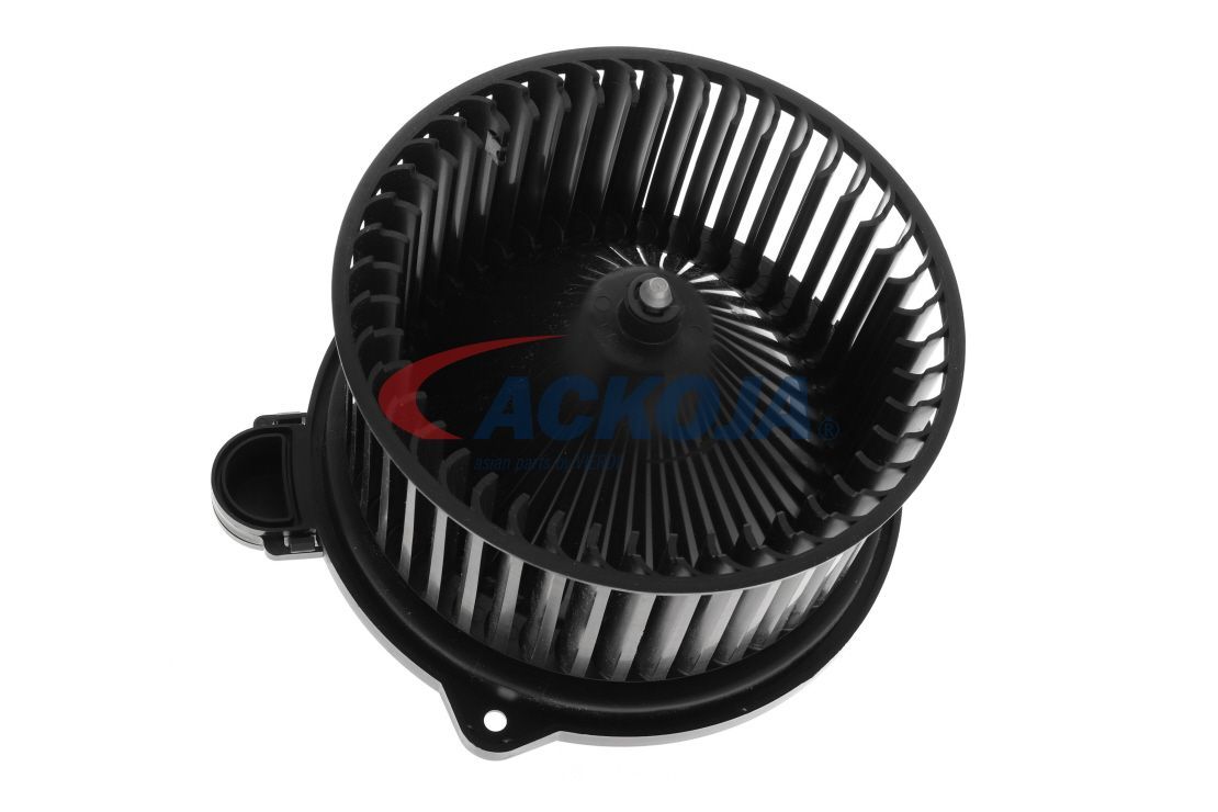 Vidaus pūtiklis ACKOJA A53-03-0004