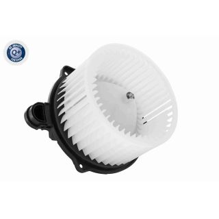 Vidaus pūtiklis ACKOJA A53-03-0005