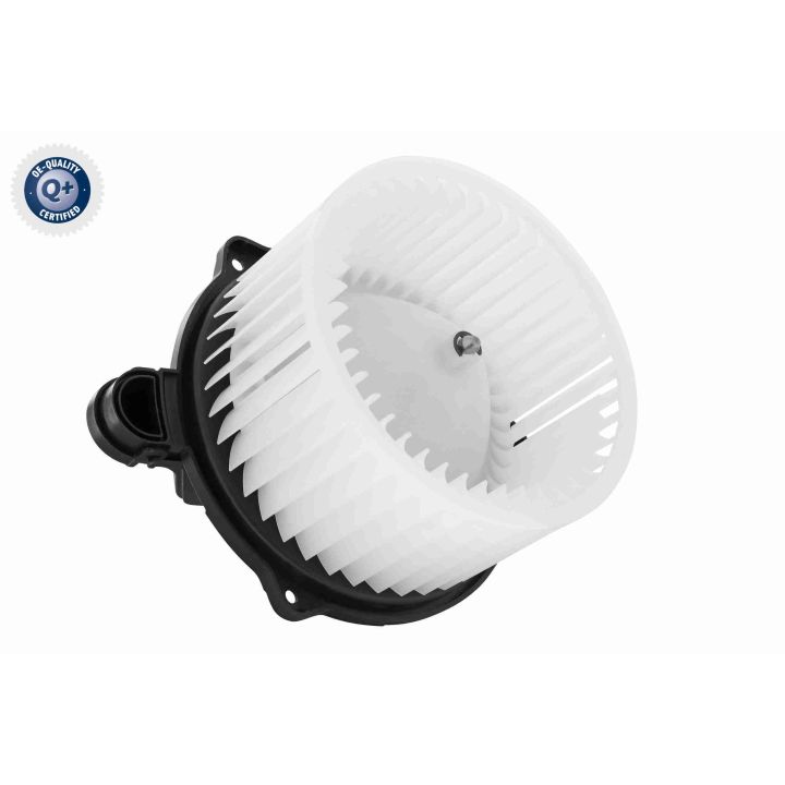 Vidaus pūtiklis ACKOJA A53-03-0005